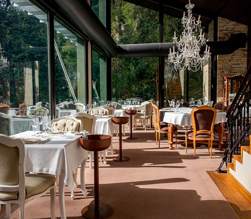 Home-Intro-Right-02-800x700